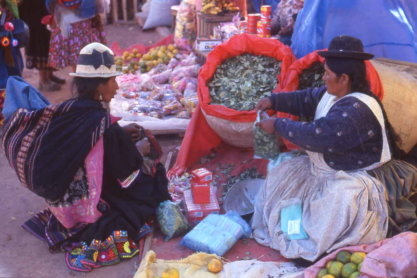 Marche_de_la_coca.jpg