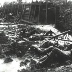 trenches-2.jpg