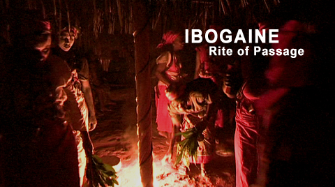 ibogaine_banner4-2.jpg