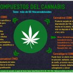 compuestos_cannabis.jpg
