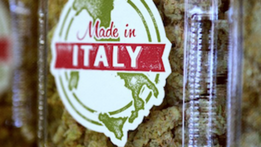 weed-made-in-italy.png