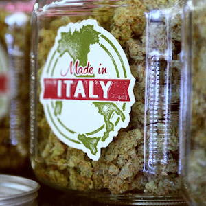 weed-made-in-italy.png