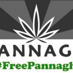 asociacion-pannagh-cannabis-absuelta_blog_full.jpg