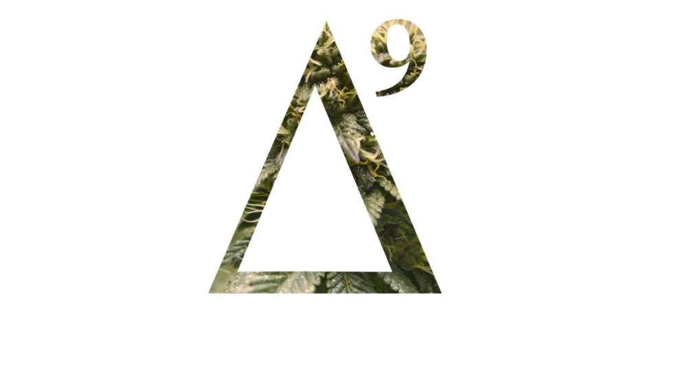 Paul Burger derAktivist