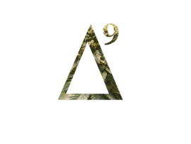 Paul Burger derAktivist