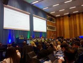 IMG_20200304_111824-111111