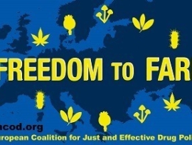 2022 Banner 1080_without borders_small