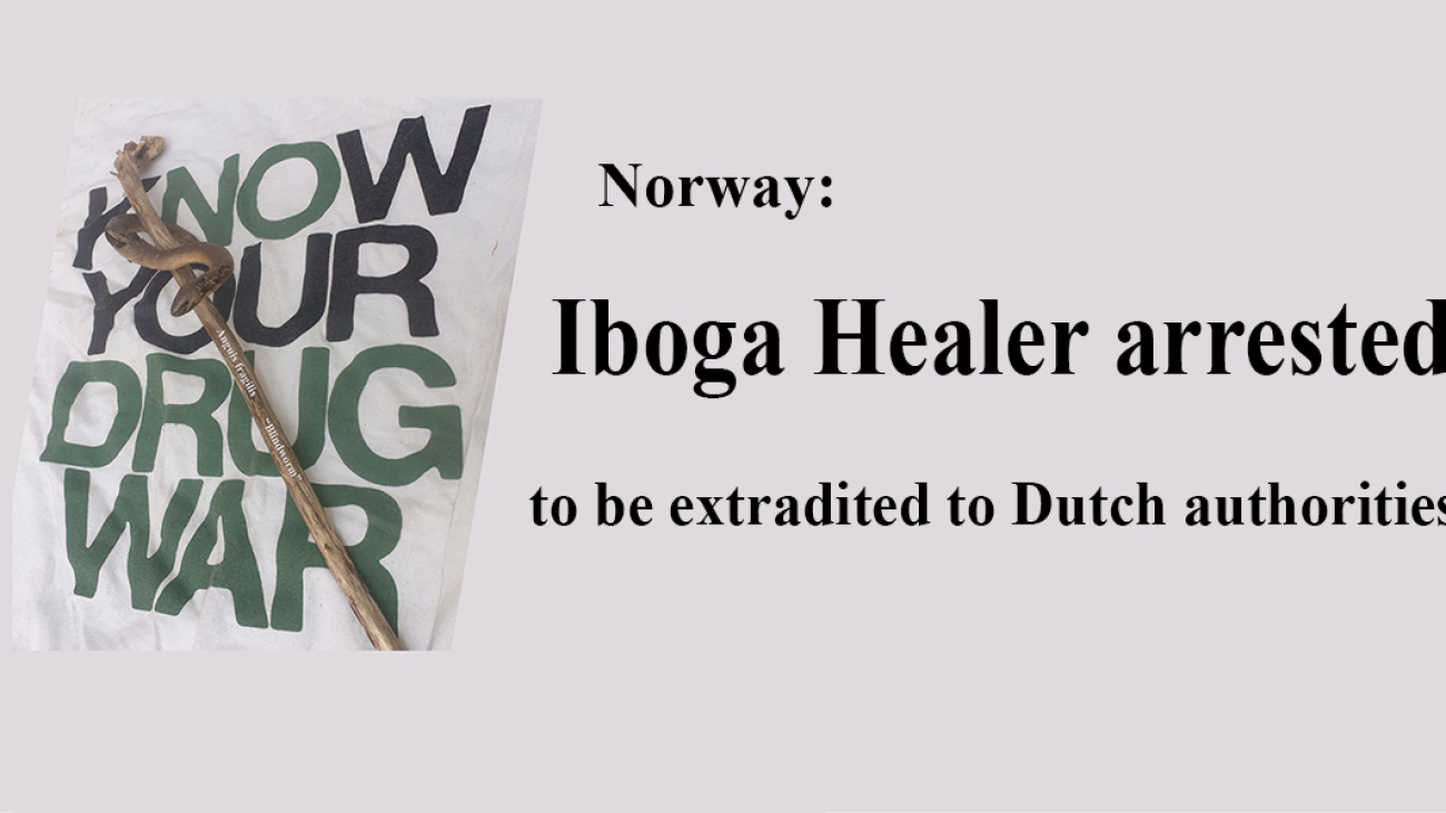 SaraG Anguis Drug War small 01