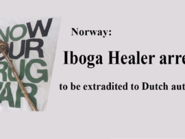 SaraG Anguis Drug War small 01