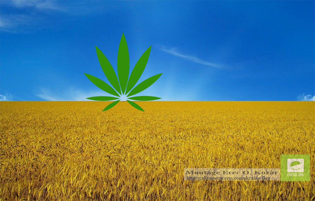 Ukraine Medical Cannabis 01c