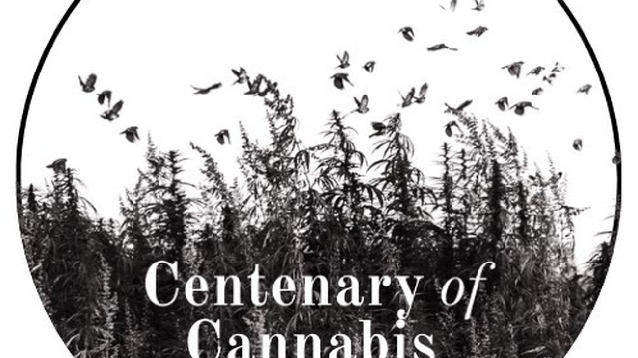 LOGO centenary of Cannabis Prohibition 1925-2025