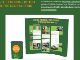 Exhibition Website frenchdutchparadox.org